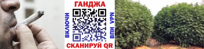 Конопля Аргун