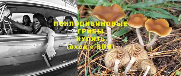 синтетический гашиш Алексин