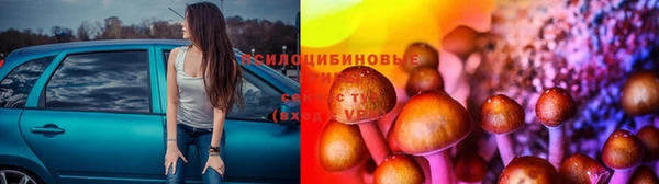 синтетический гашиш Алексин