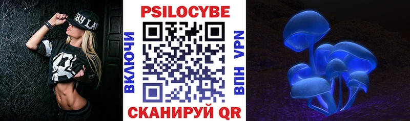 Галлюциногенные грибы Psilocybe  Аргун 