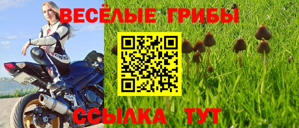 Галлюциногенные грибы прущие грибы  Вход с VPN  Аргун  Галлюциногенные грибы мухоморы 