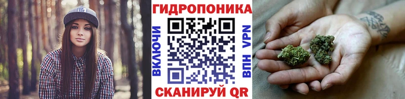 как найти наркотики  это какой сайт  Бошки Шишки MAZAR  Аргун 
